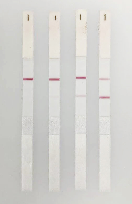 新冠病毒IgG/IgM檢測大板