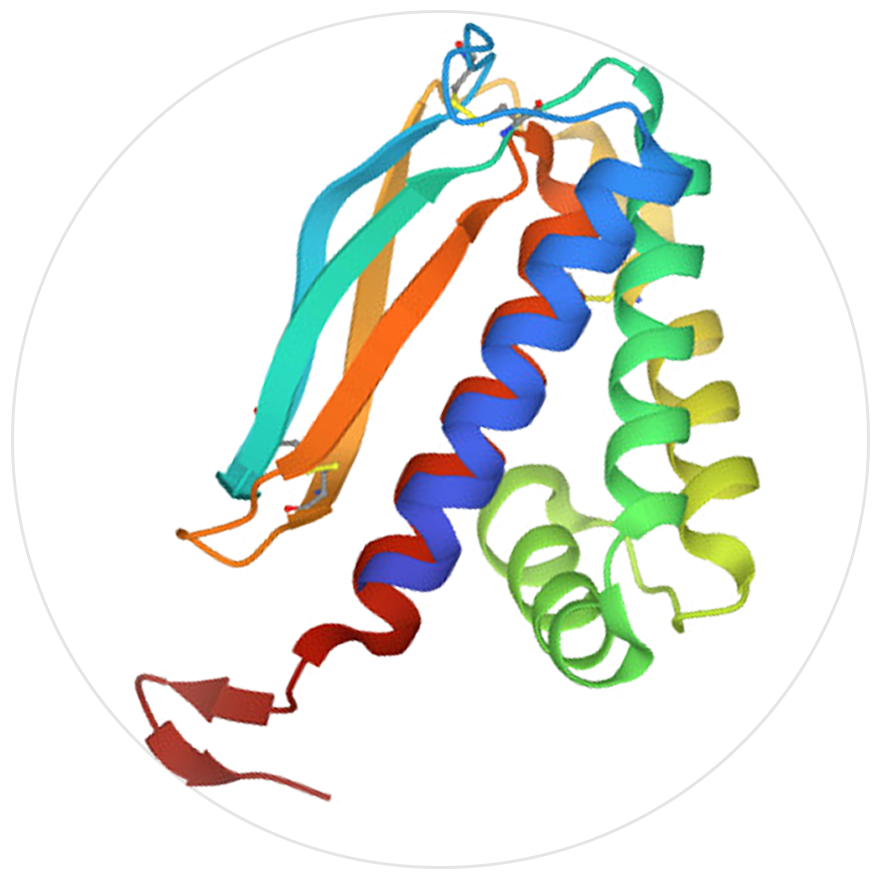 猴痘抗原A29L、A35R、B6R、M1R介紹