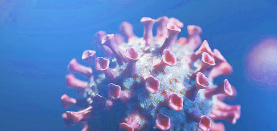 HBP高親和兔單抗，助力IVD備戰(zhàn)COVID-19重癥高峰