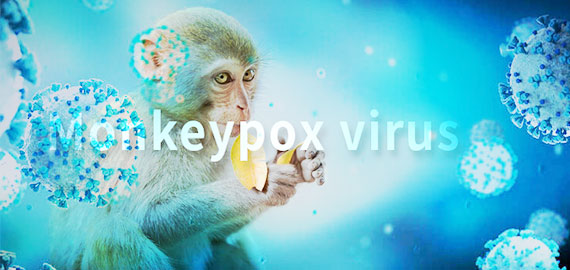 SingleB猴痘項目大顯身手，近100株抗體火速上新！